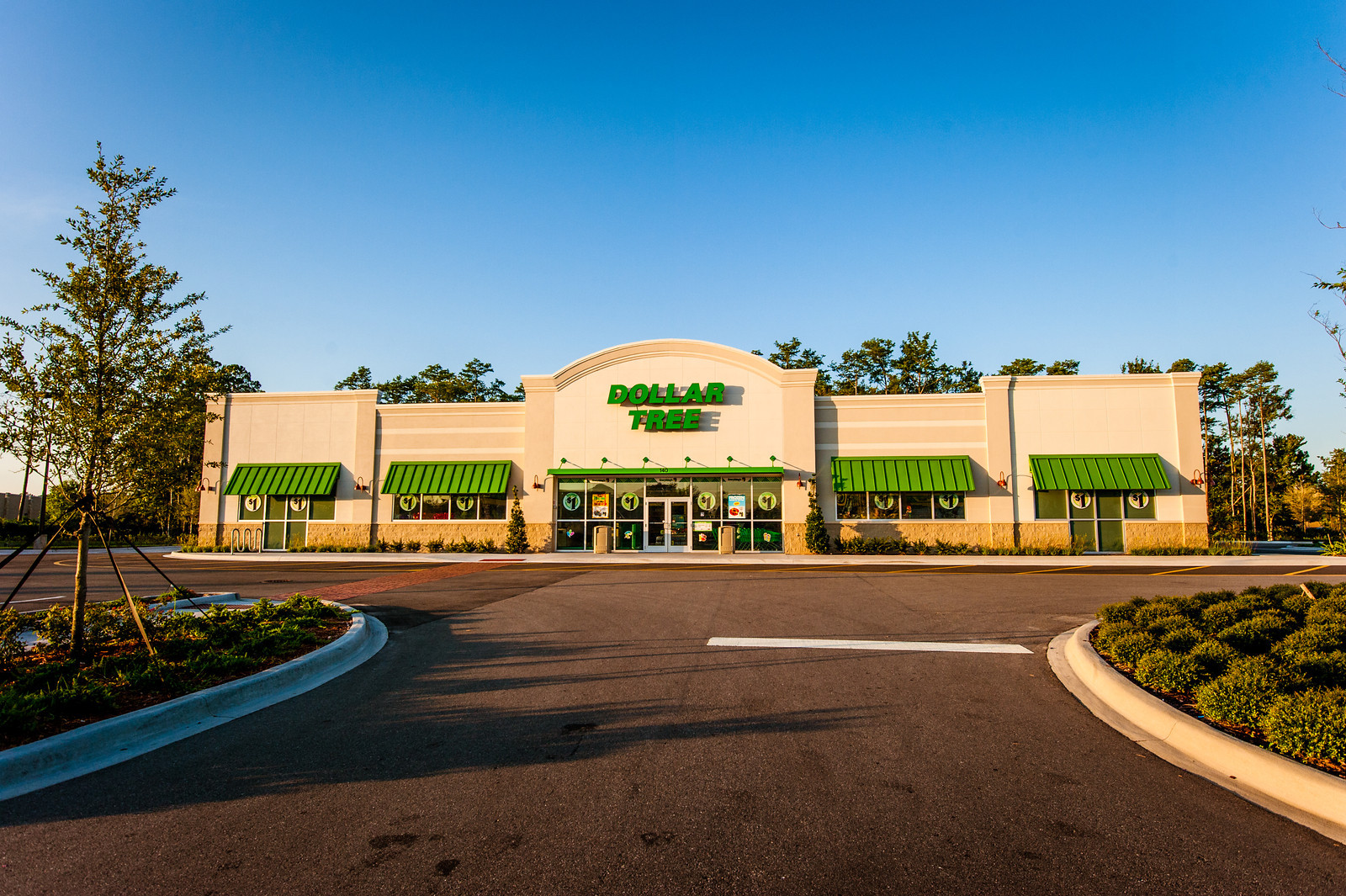 Dollar_Tree_Storefront